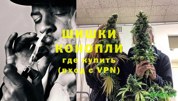 ПСИЛОЦИБИНОВЫЕ ГРИБЫ Елизово