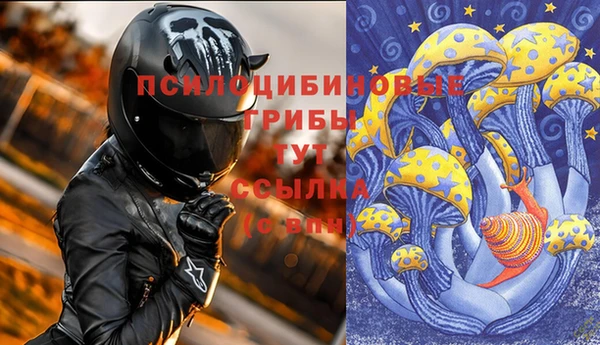 крисы Абинск