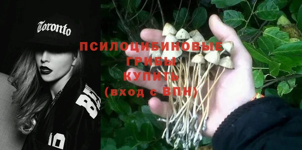 крисы Абинск